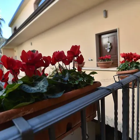 Residenza D'epoca Celeste 3* Caserta